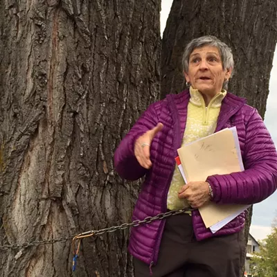 Image: Ann Taylor Wants to Save a Tree