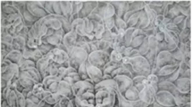Image: Artist Talk: Carol Prusa