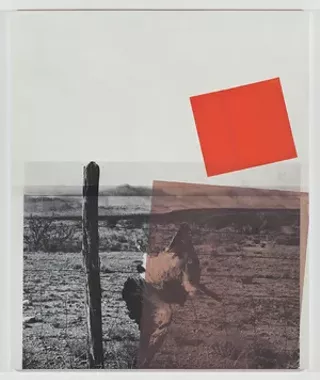 Image: Artist Talk: Kevin Appel