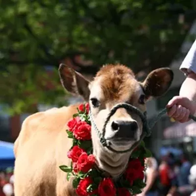 Image: 25 Things Vermonters Like, According to Californians