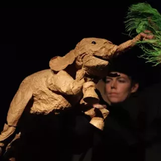 Image: 'Do Elephants Dream of Eclectic Sheep?'