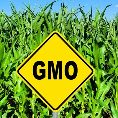 Image: In Court, Vermont Makes Opening Salvo in Defense of GMO Law