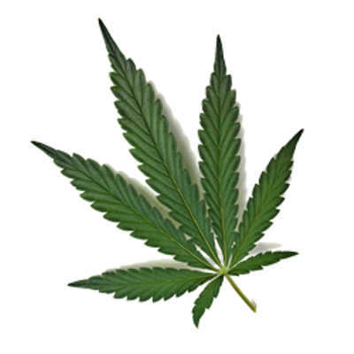 Image: Leahy Calls for Senate Hearing on Pot Policy