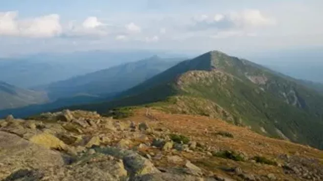 Image: 'The Art of Wilderness'