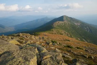 Image: 'The Art of Wilderness'