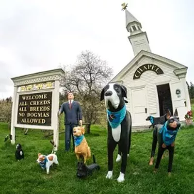 Image: NPR Considers Vermont's Dog Mountain