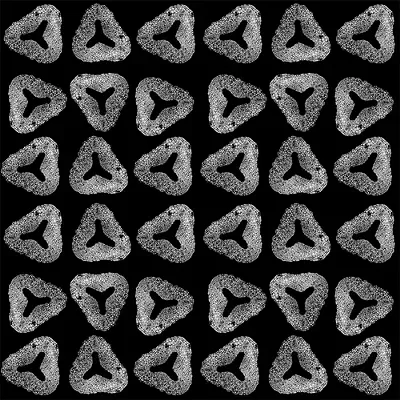 Image: Scientists Get Arty on Burlington Biz Cerebella's Interactive Platform