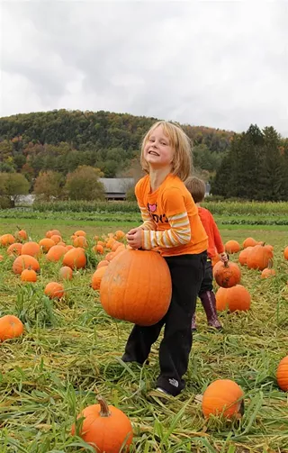 Image: Pumpkin Festival