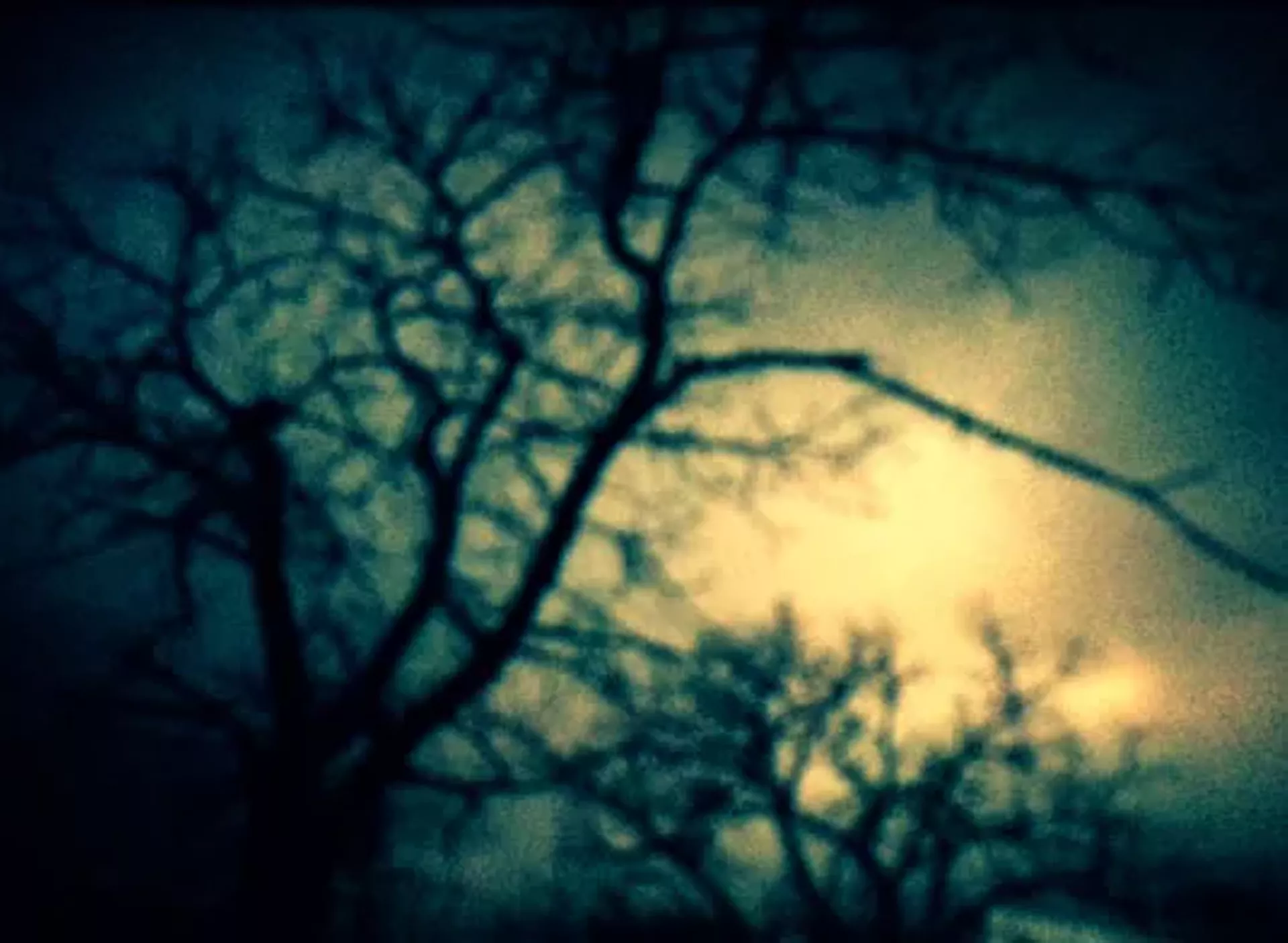 "Sonic Moon" by Katherine Taylor-McBroom