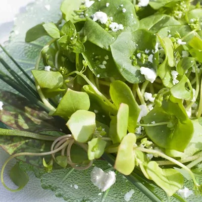 Image: Farmers Market Kitchen: Spring Weeds Salad