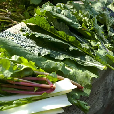 Image: Farmers Market Kitchen: Kale Bird's Nests