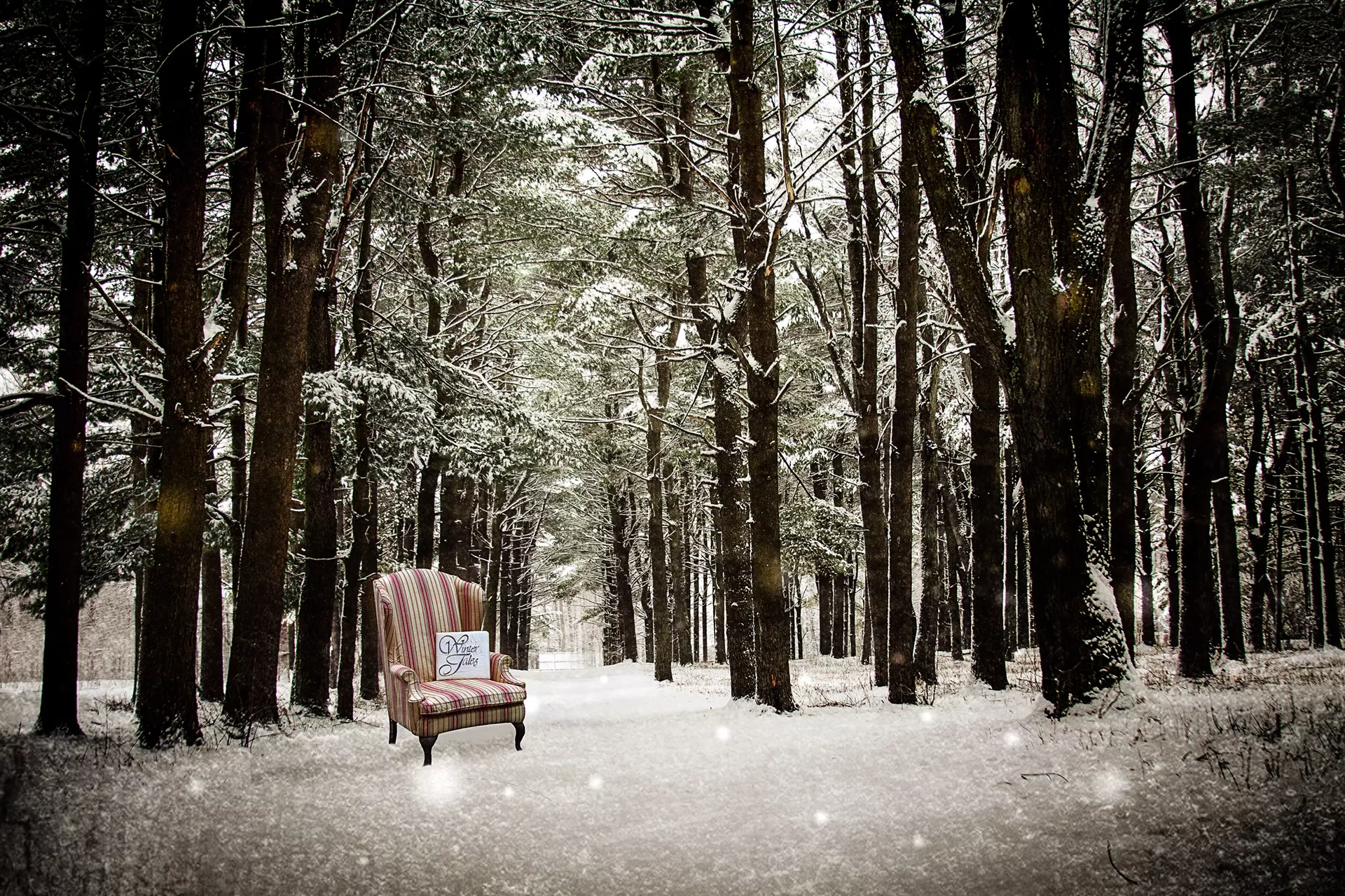 winter_tales_courtesy_of_linday_raymondjack-calendar-spotlights-ravin.webp