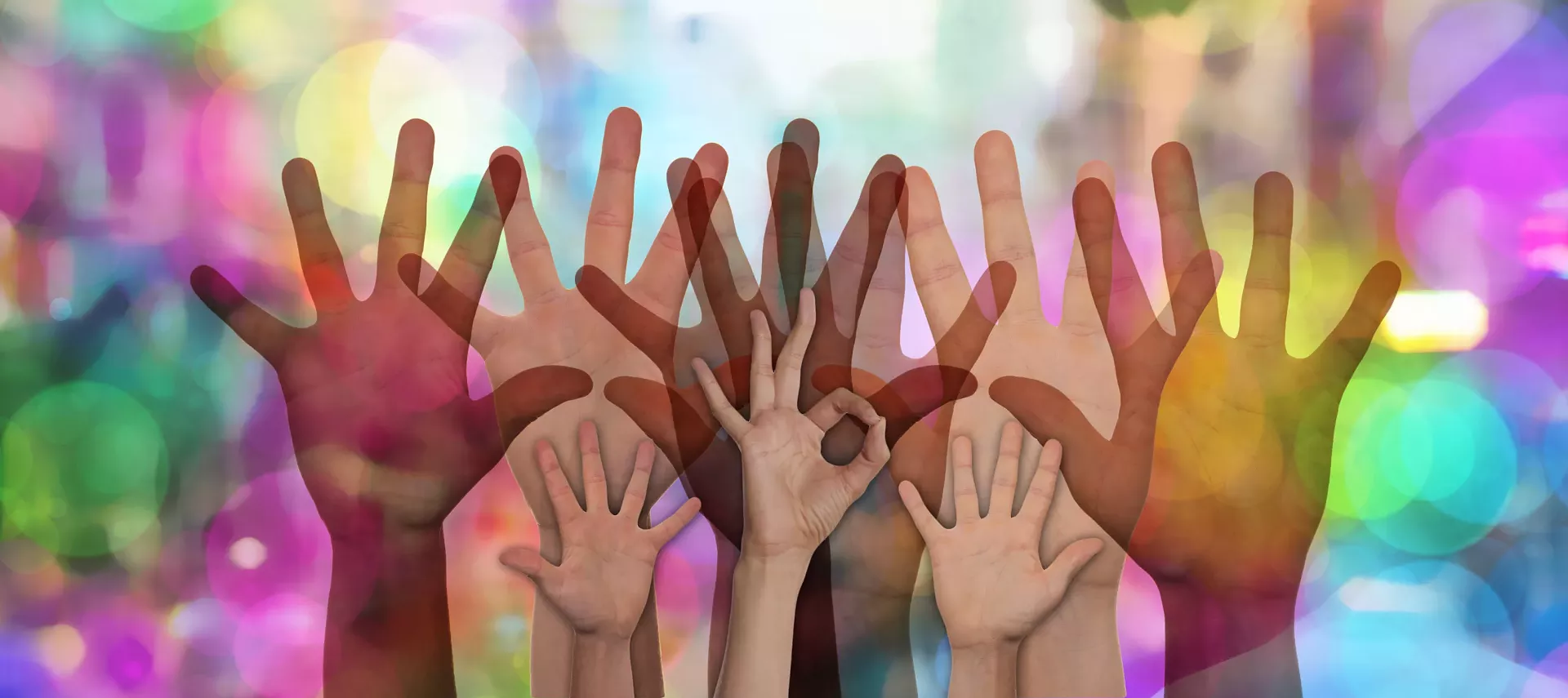f7599c4b_giveback.webp