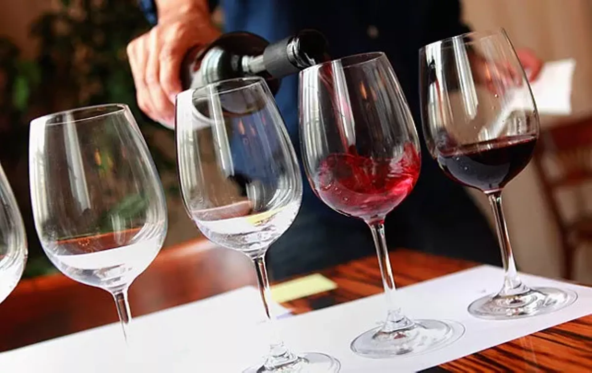 wine_tasting.webp