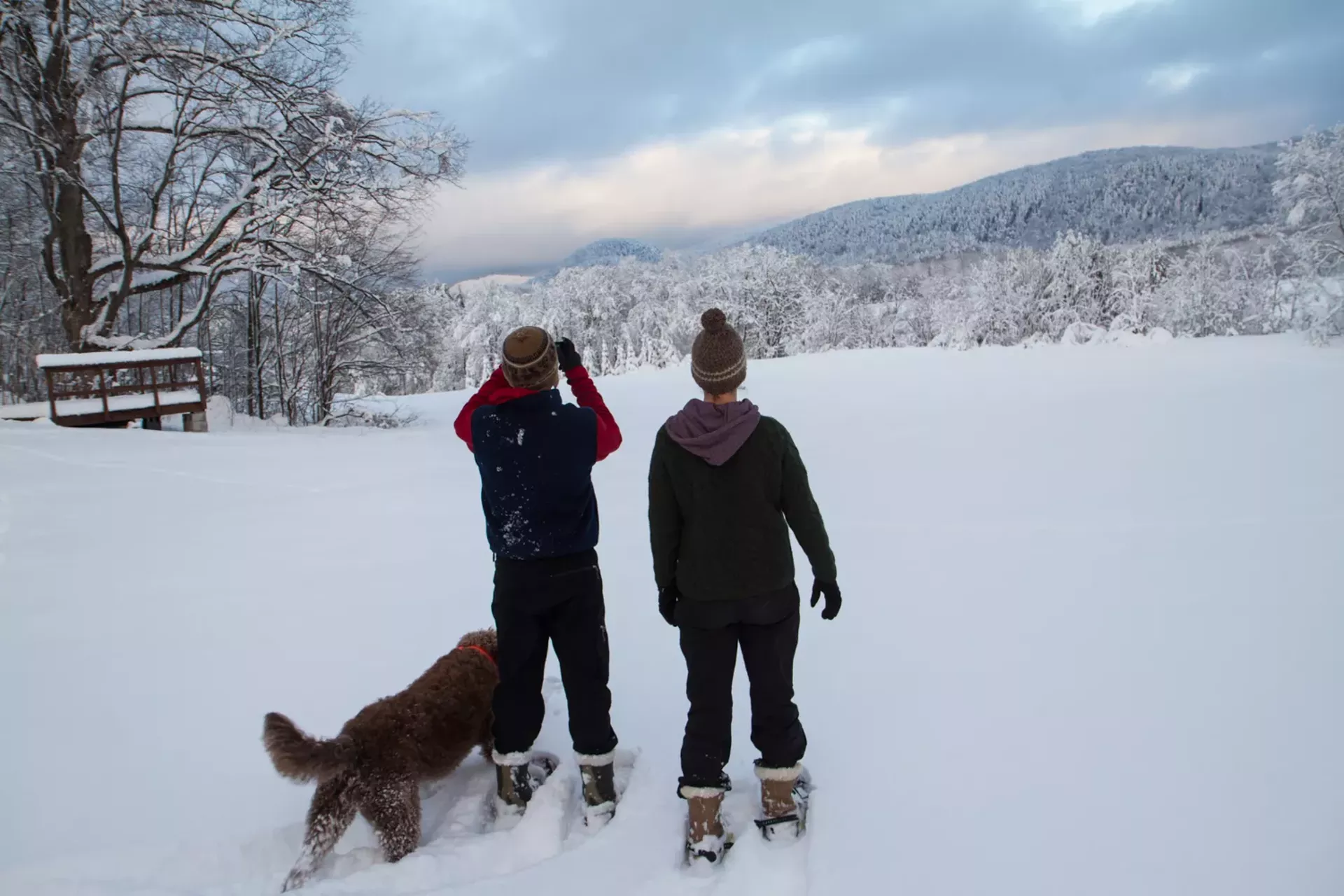 6c5e805d_winter-0072.webp