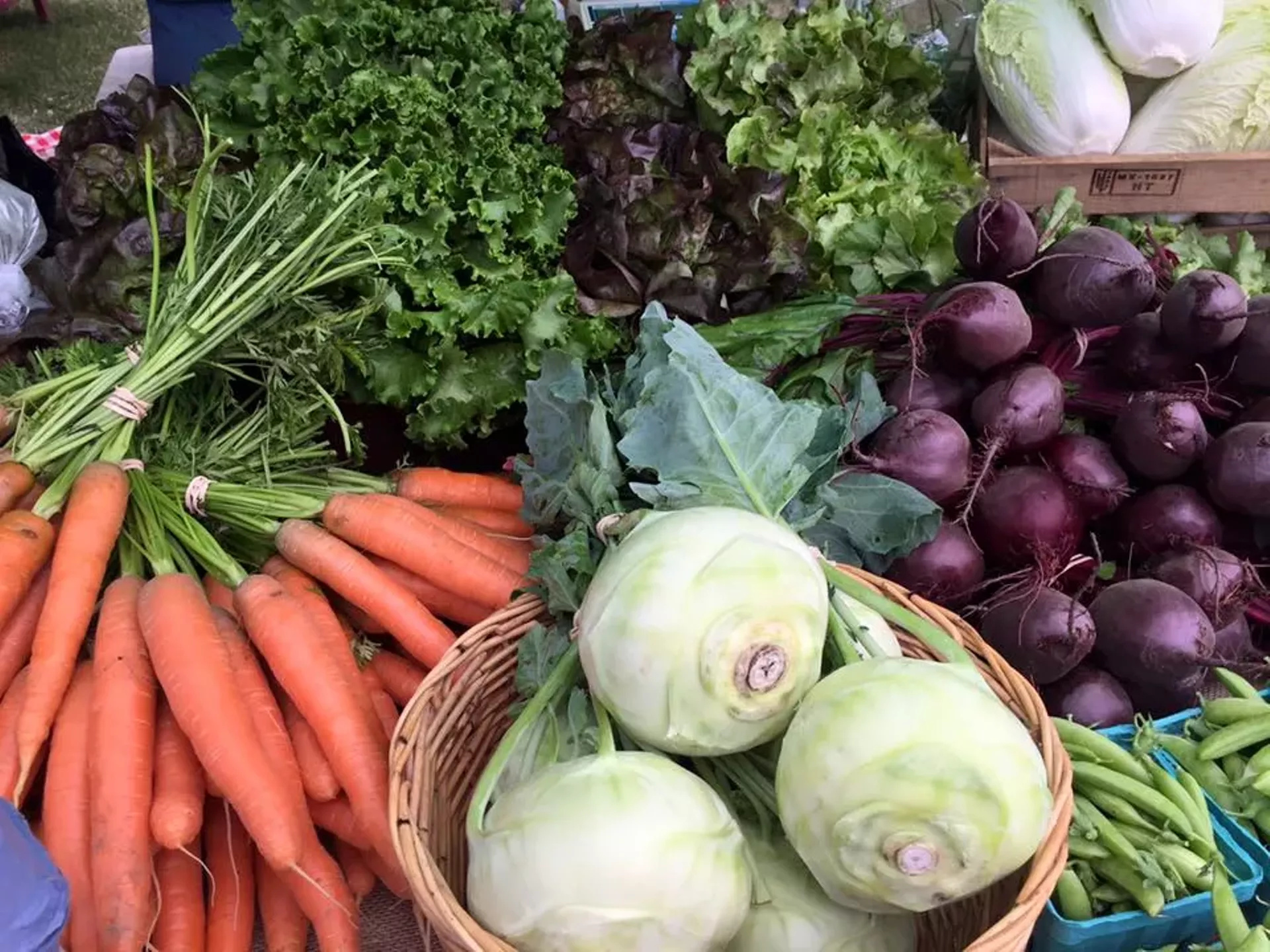 plentyofproduce_five_corners.webp