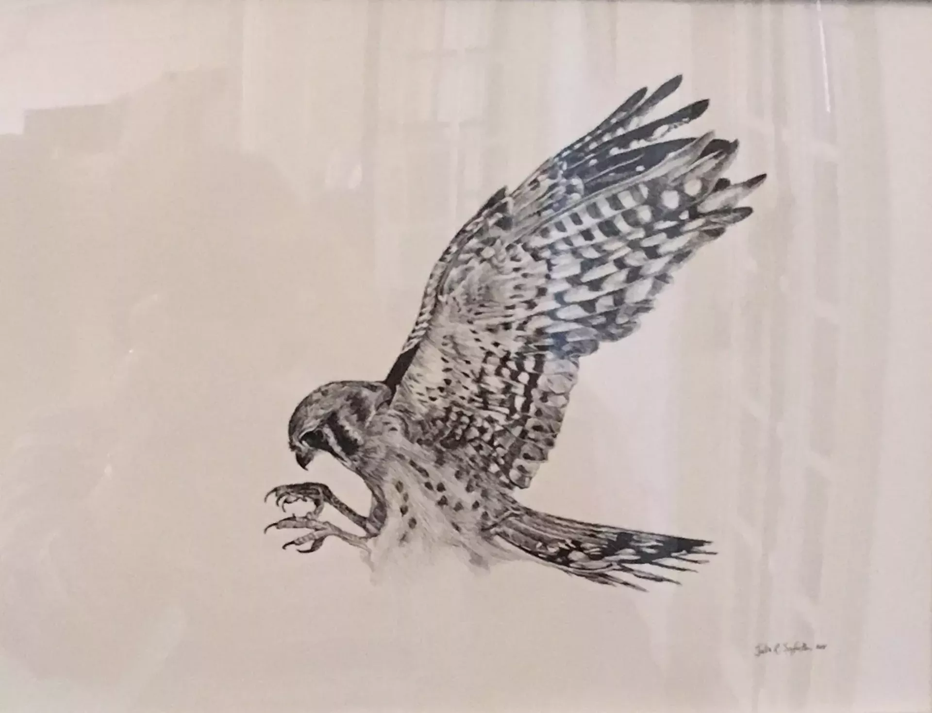 "Kestrel" by Julia R. Seyferth