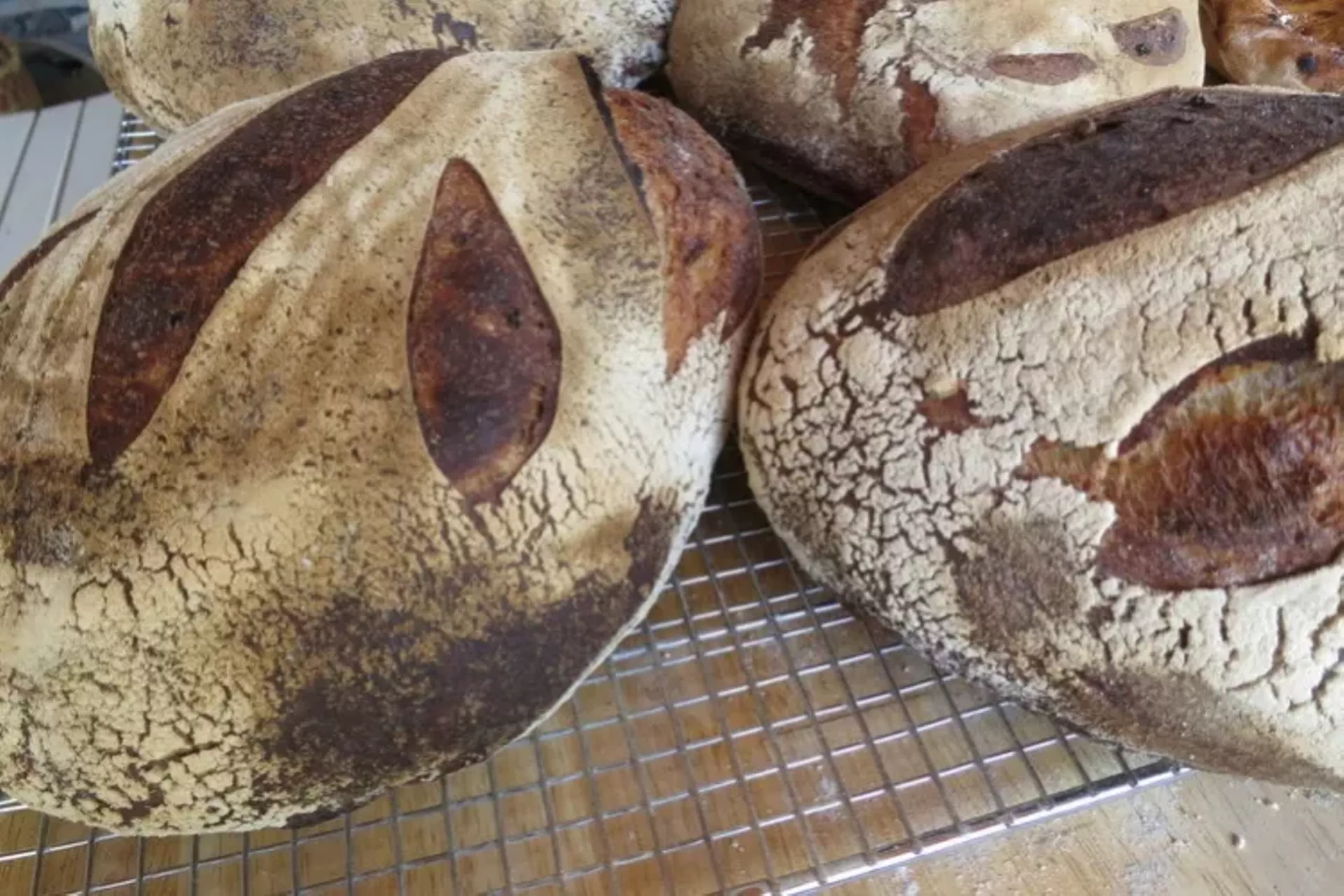 beestingbakery_2.webp