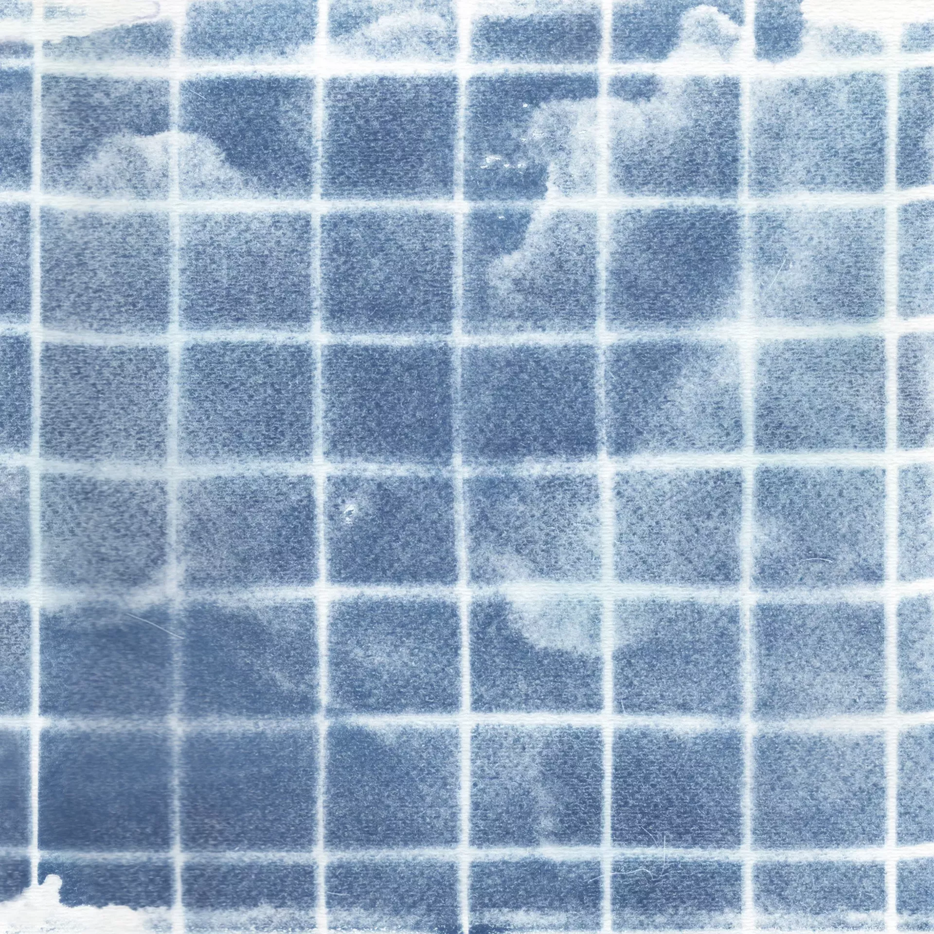 Untitled cyanotype print by John Richey