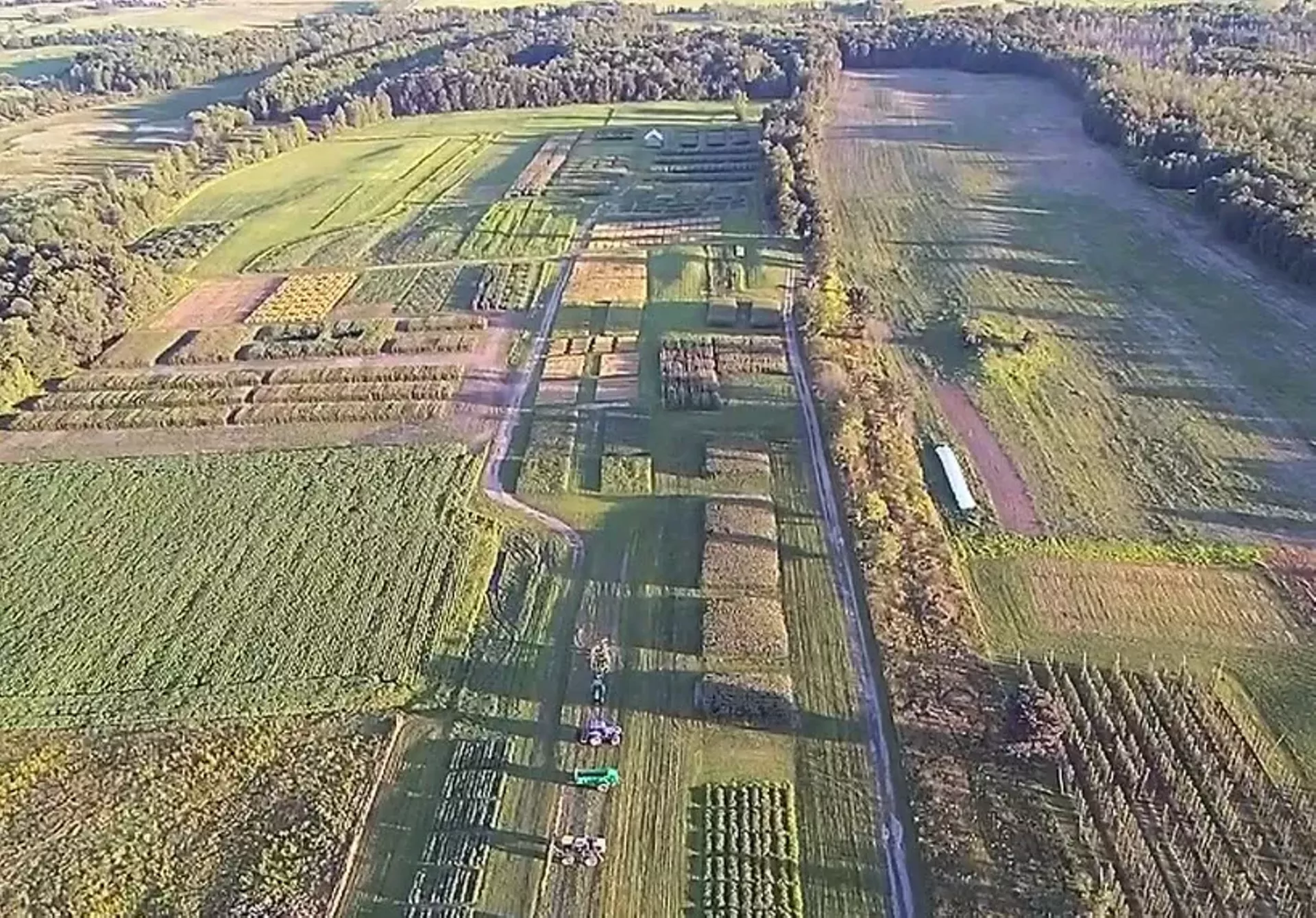 borderviewplots2.webp