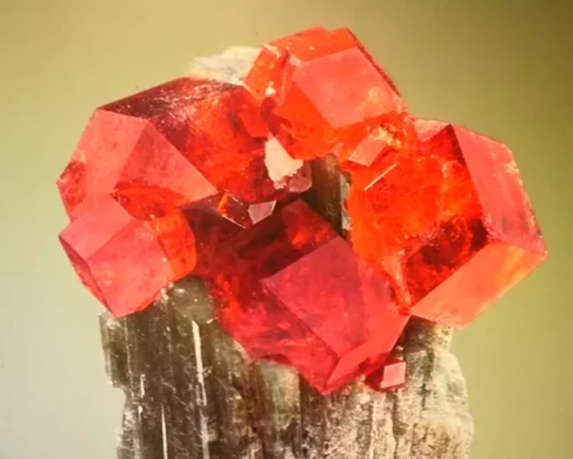 crystal_2019.webp