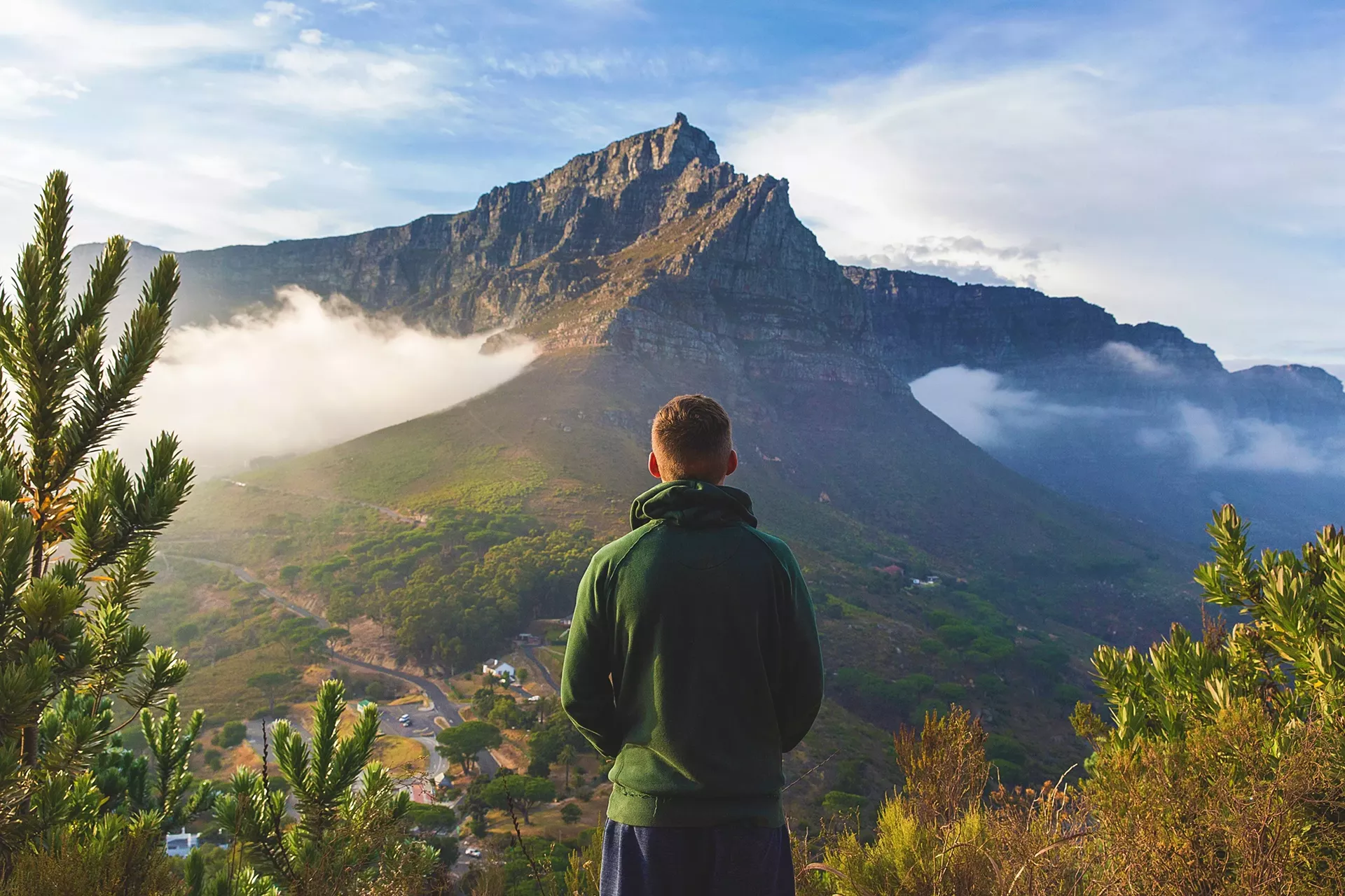 ed_life_after_death_mountain.webp