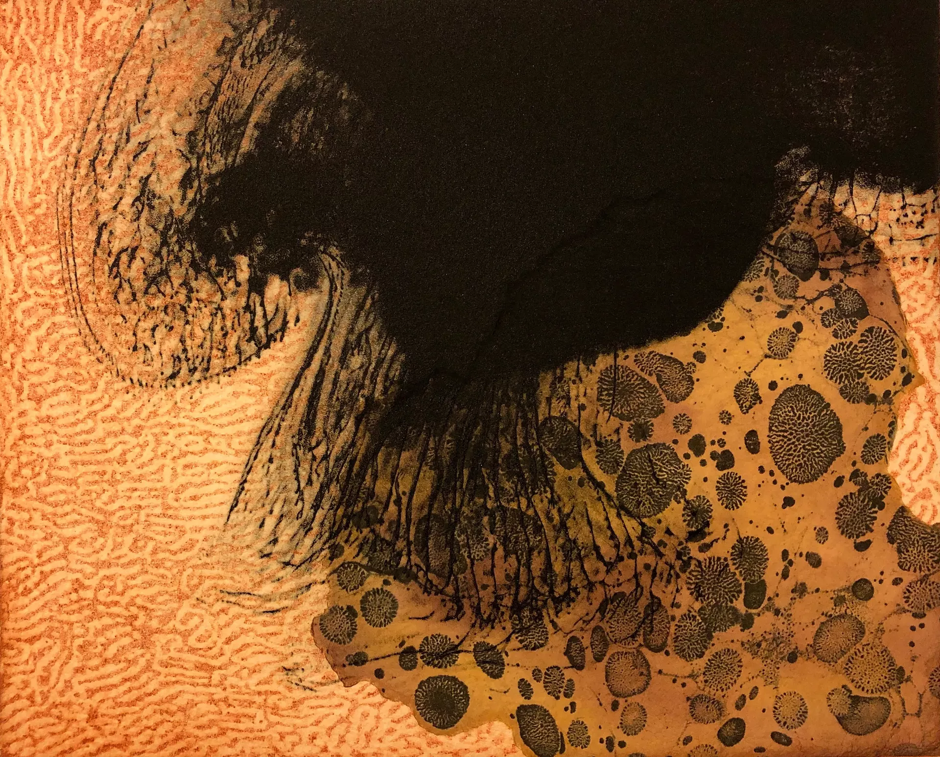 Untitled photo polymer intaglio with collagraph, solvent transfer, chine coll&eacute; by Joan Morris