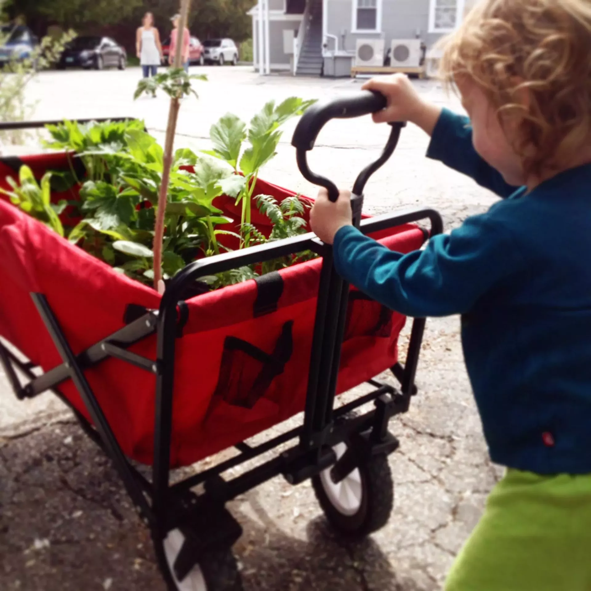 plant sale