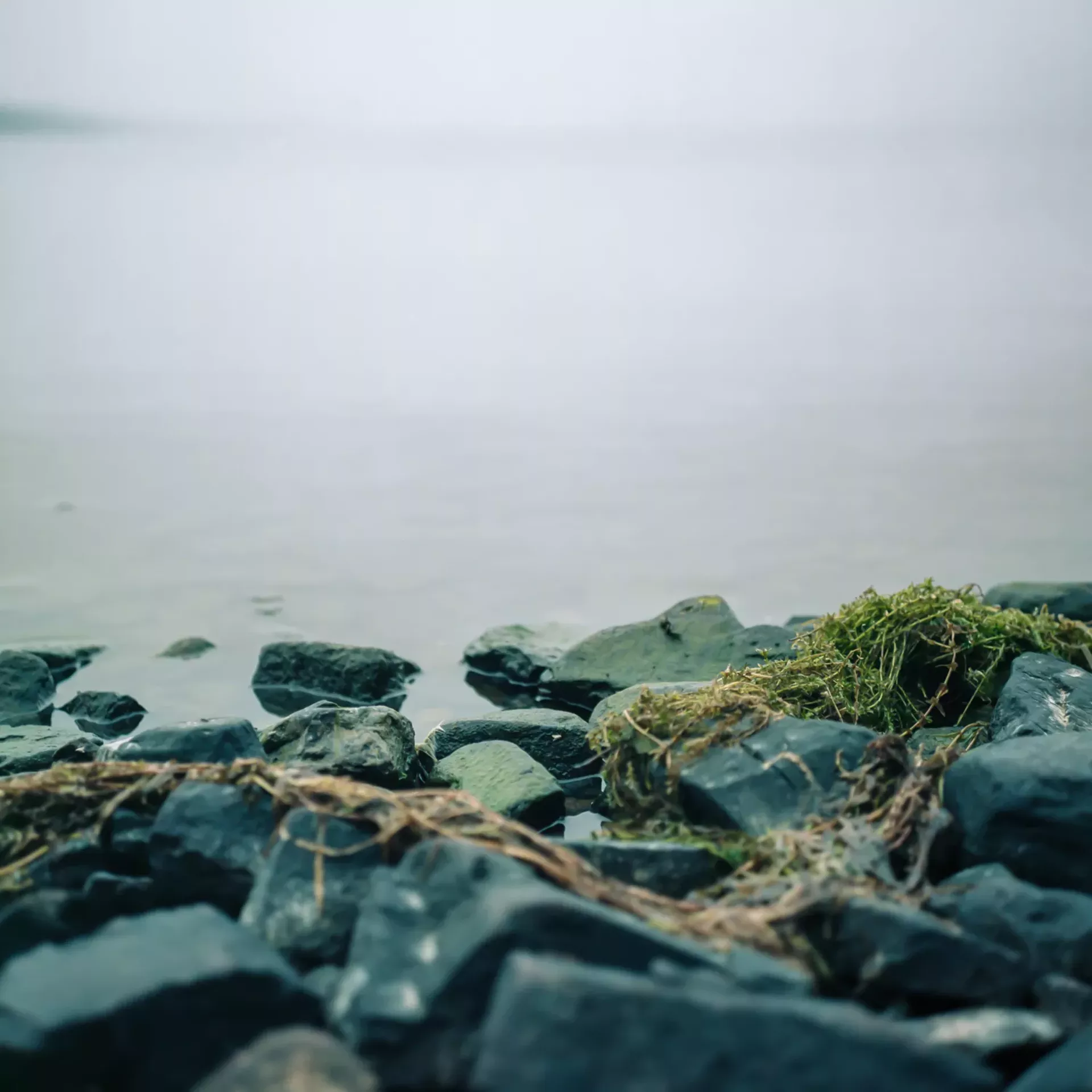 "Red Rocks Fog I" by Ren&eacute;e Greenlee