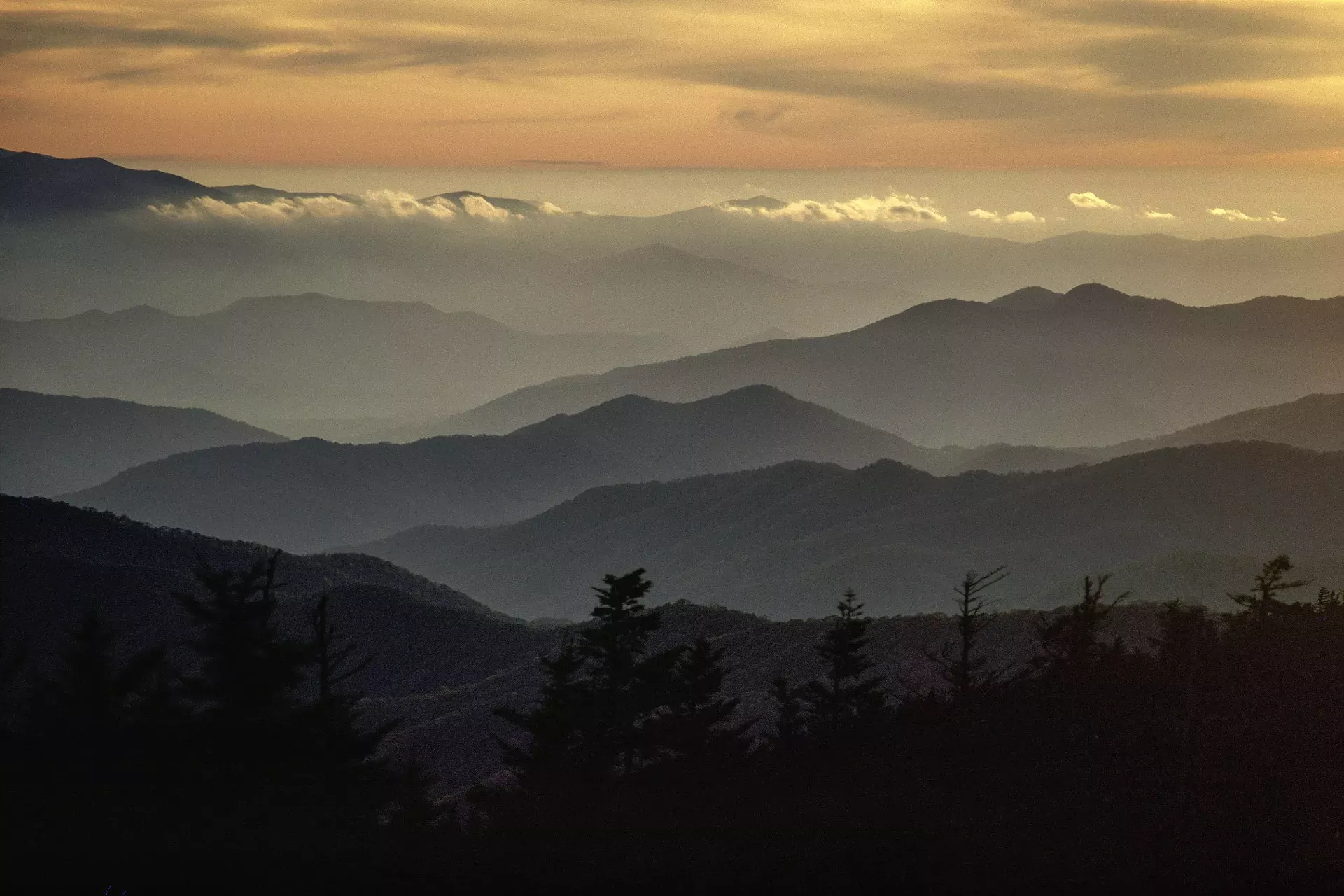 Photograph by James Blair