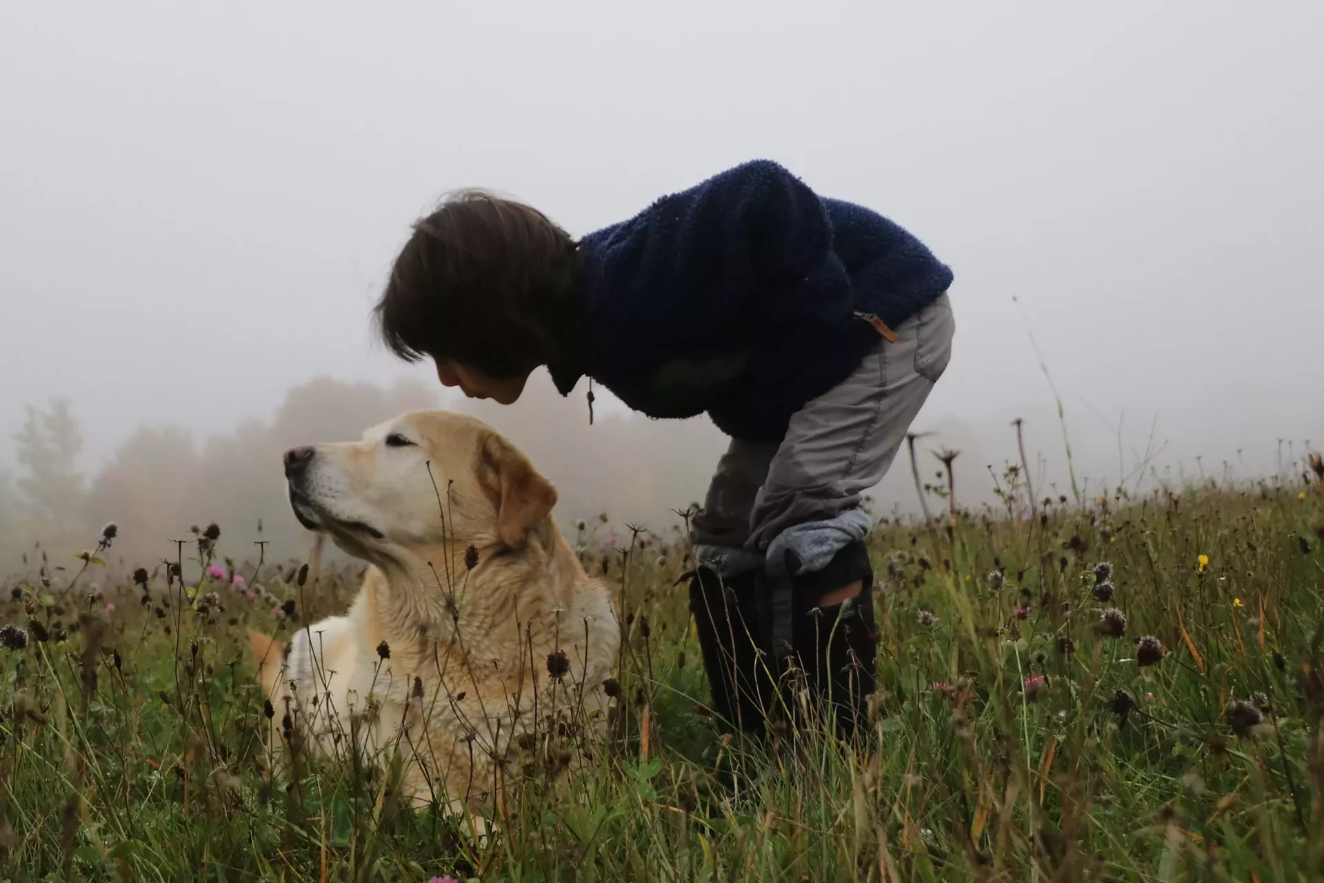 "A Boy and His Dog" by Rebecca Young