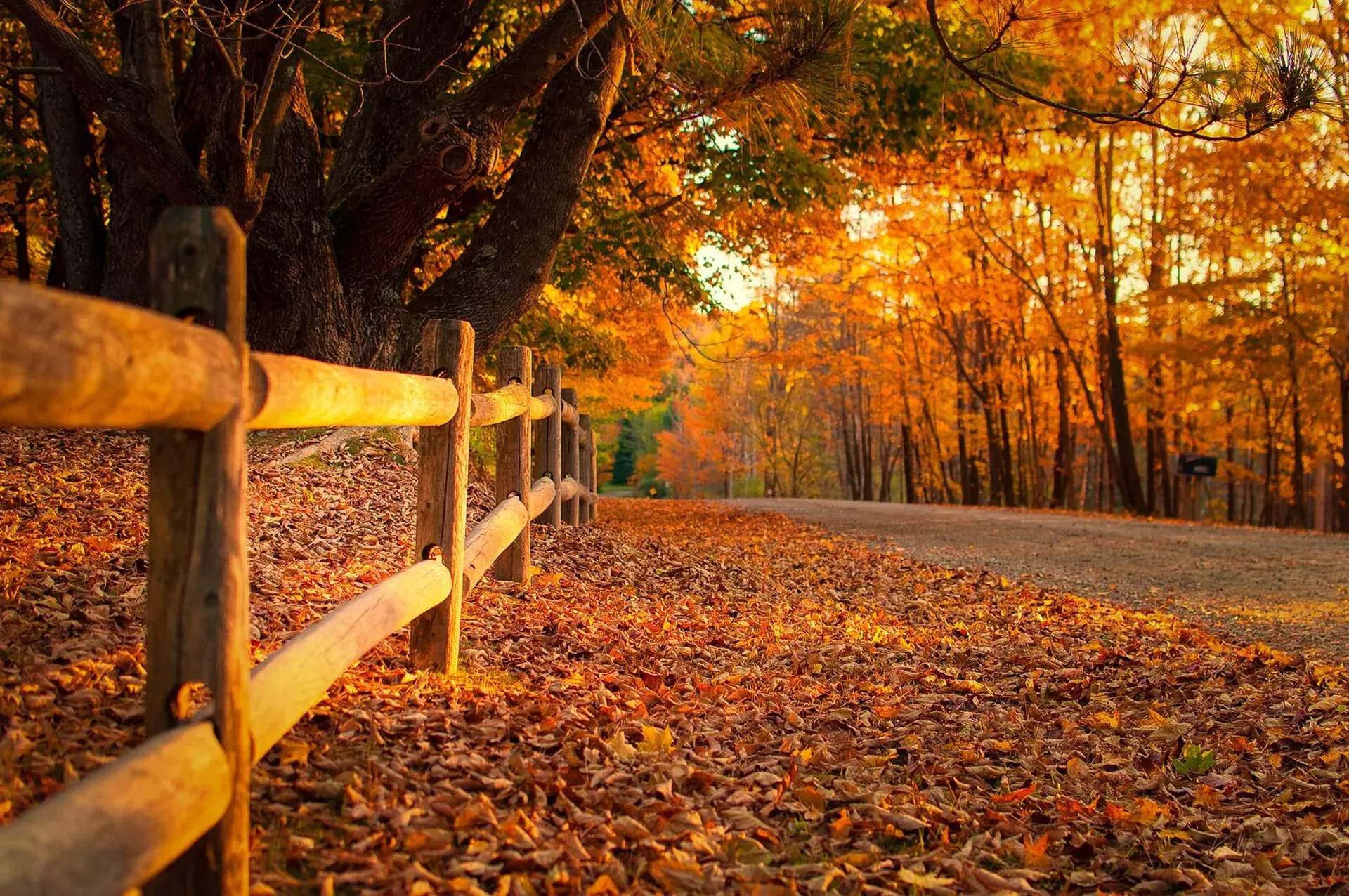 Fall in Vermont
