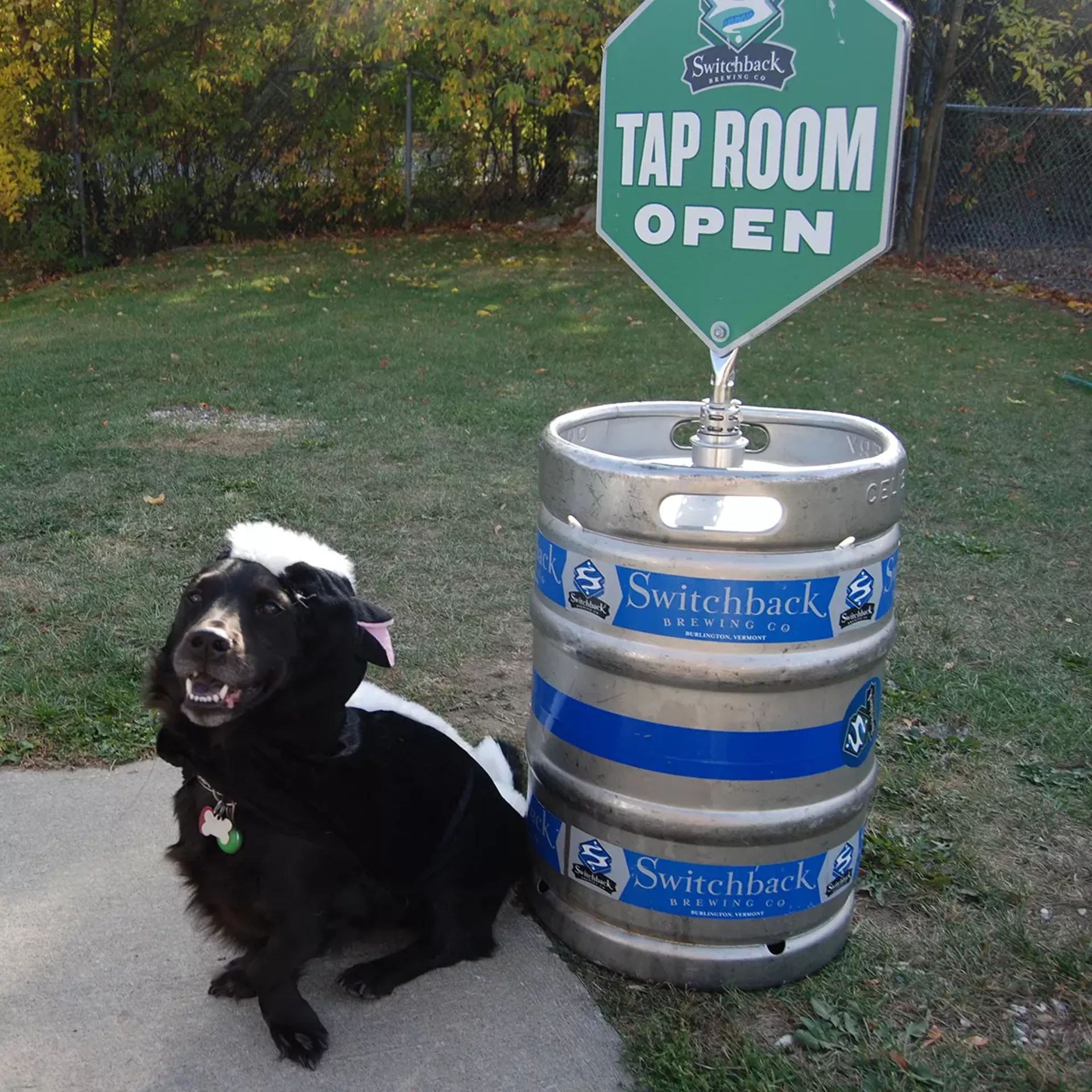 barktober2._photo_credit_abbe_malcolm.webp