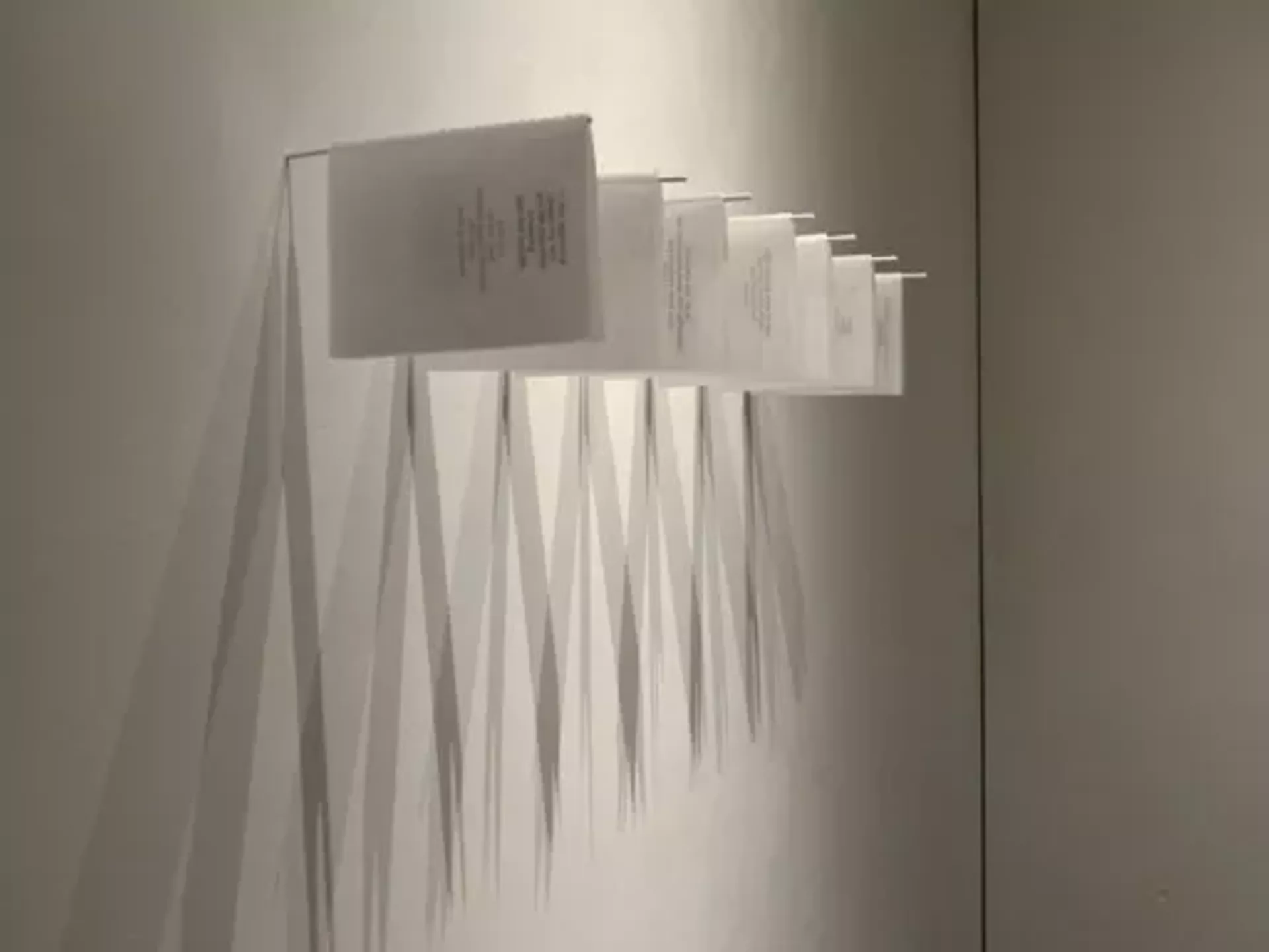"Genesis" by Caitlin Harder