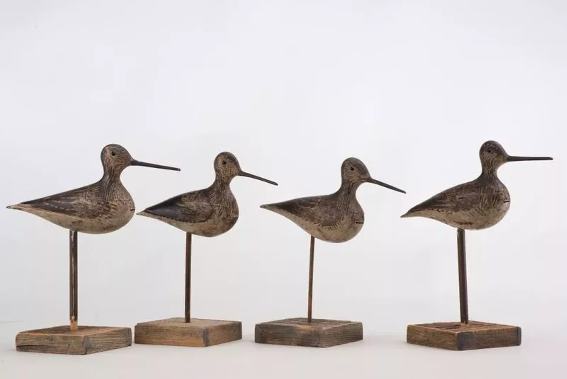 "Stick-up Shorebird Dowitcher Decoys," maker unknown