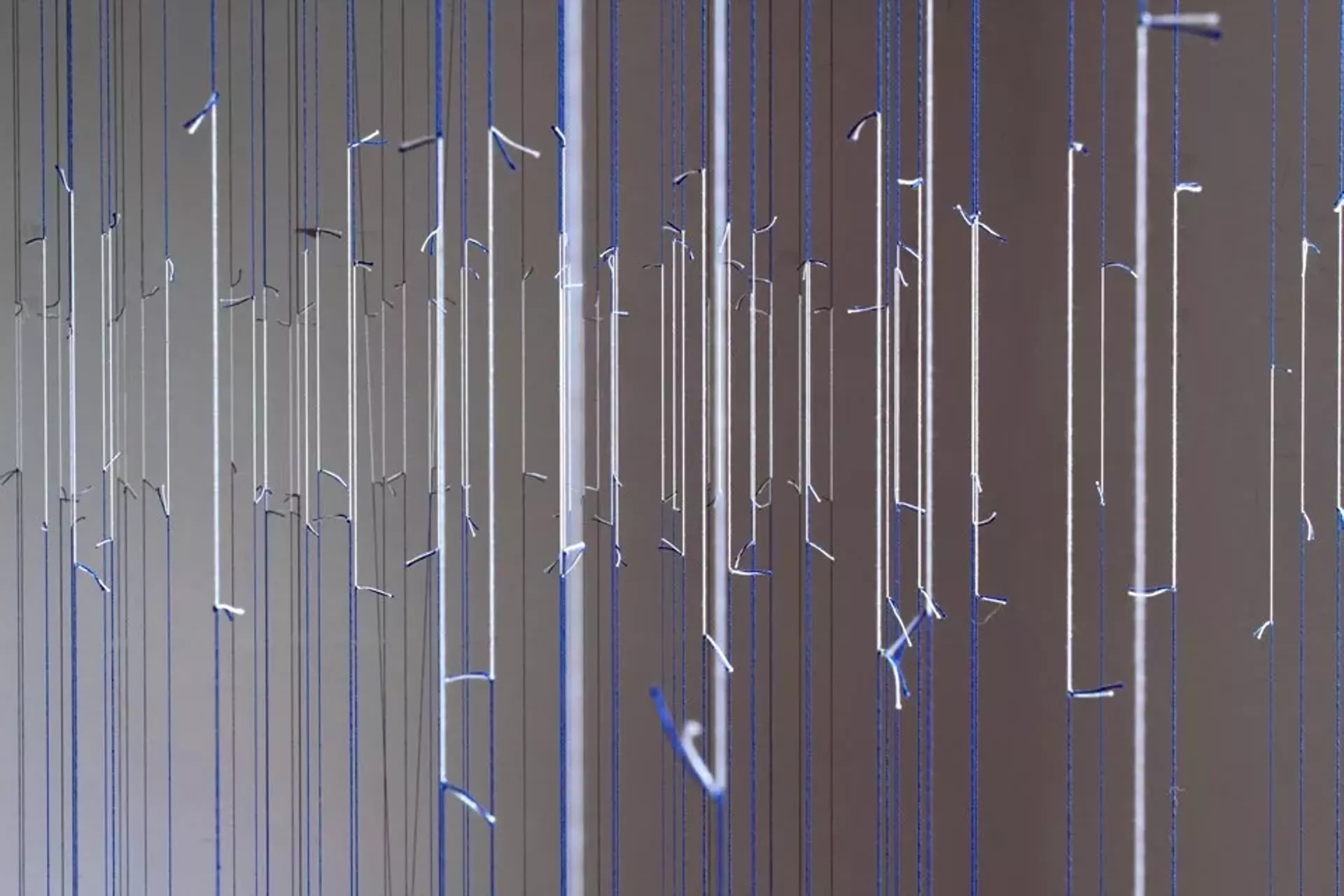 Installation by Elizabeth Billings