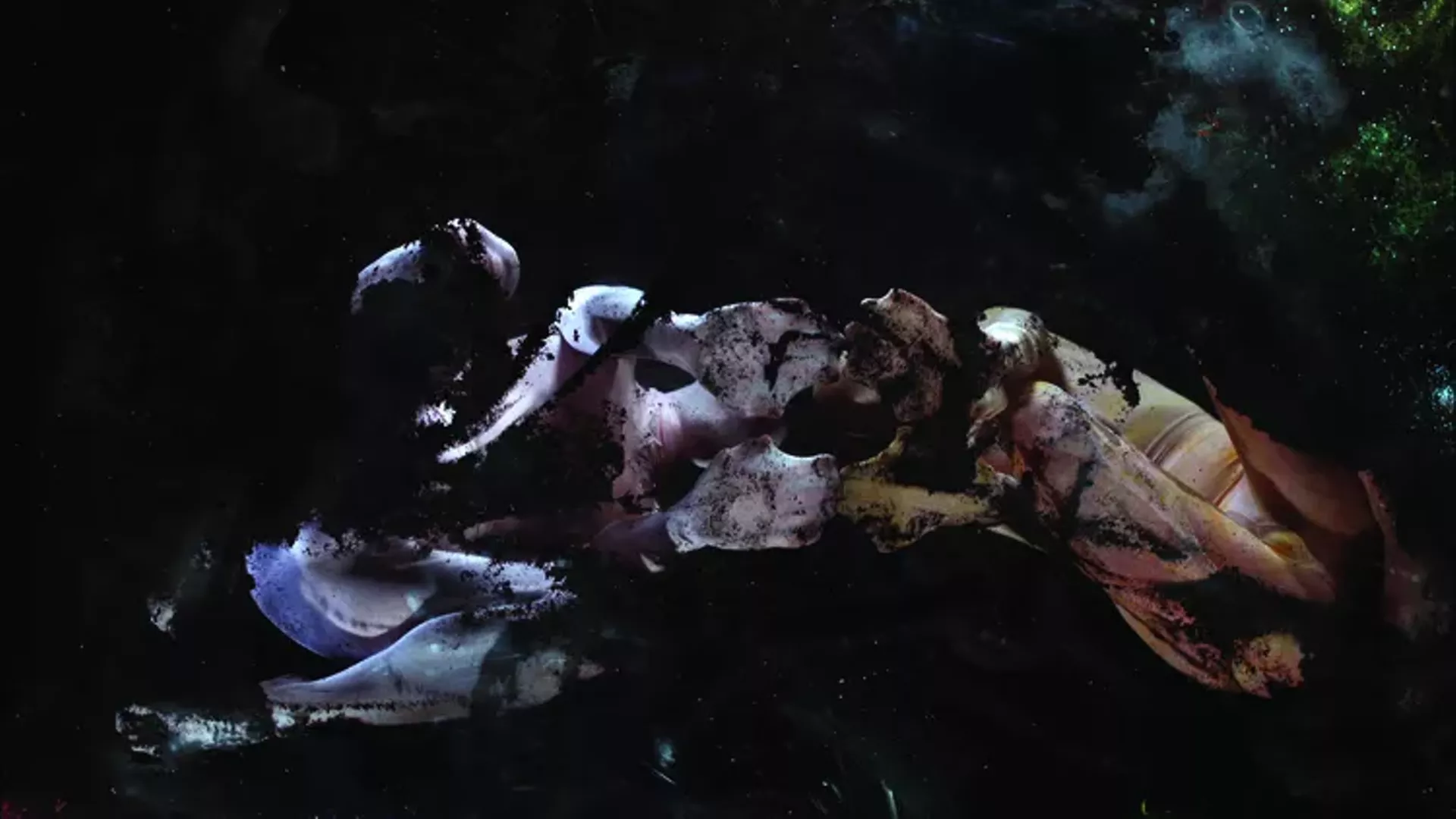 Still from "Conceal/Reveal" by Dana Heffern and Rebecca Weisman