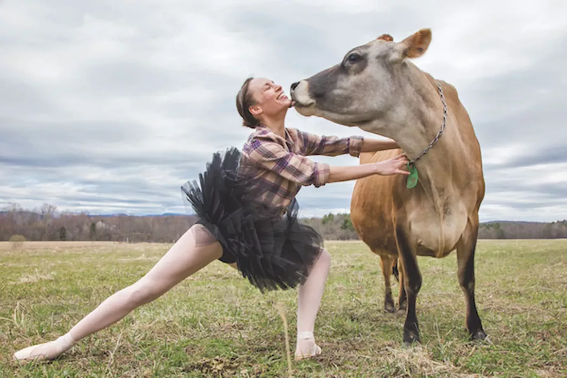 farm-to-ballet.webp