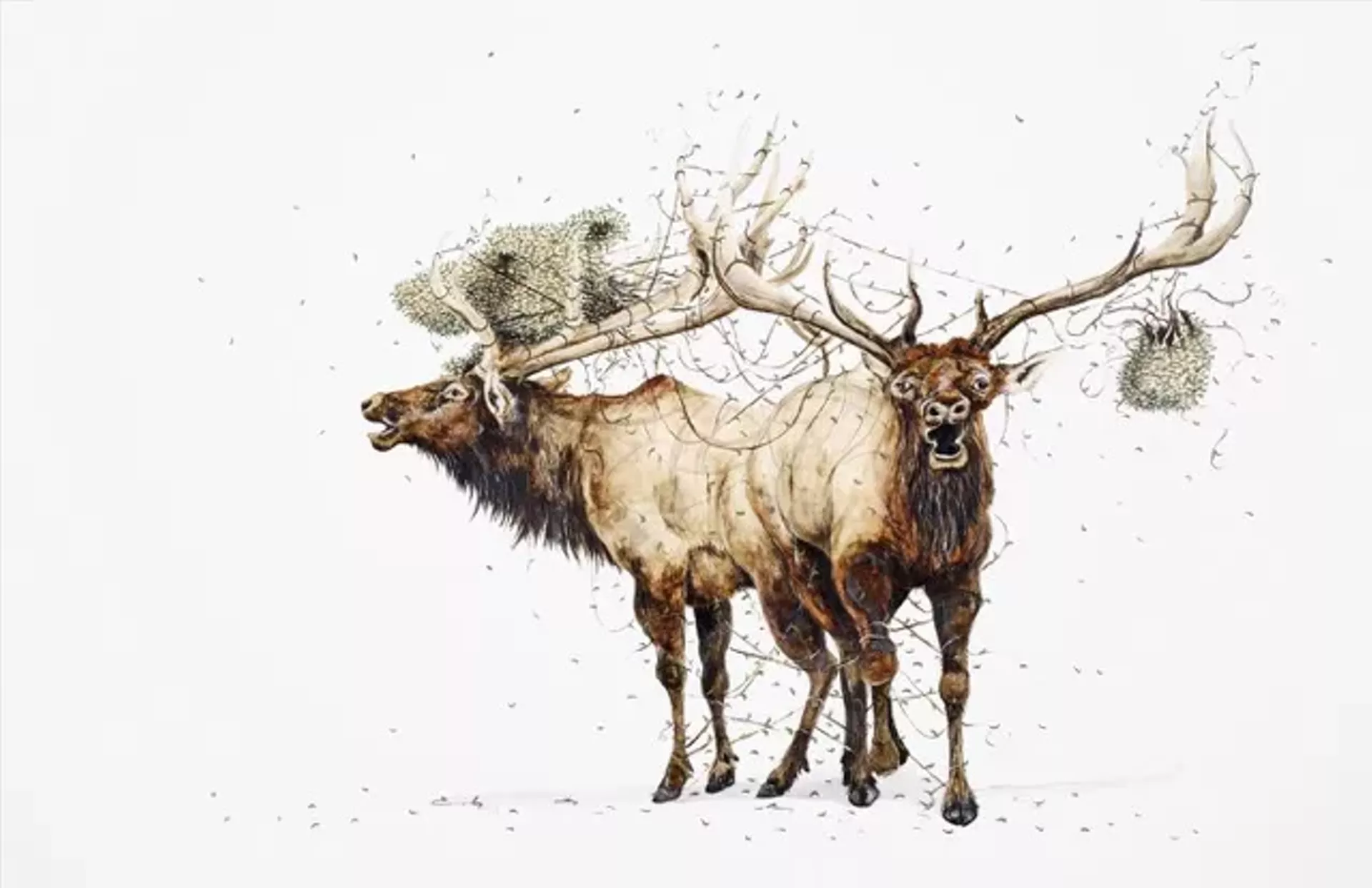"Visionaries" by Ryan McClennan