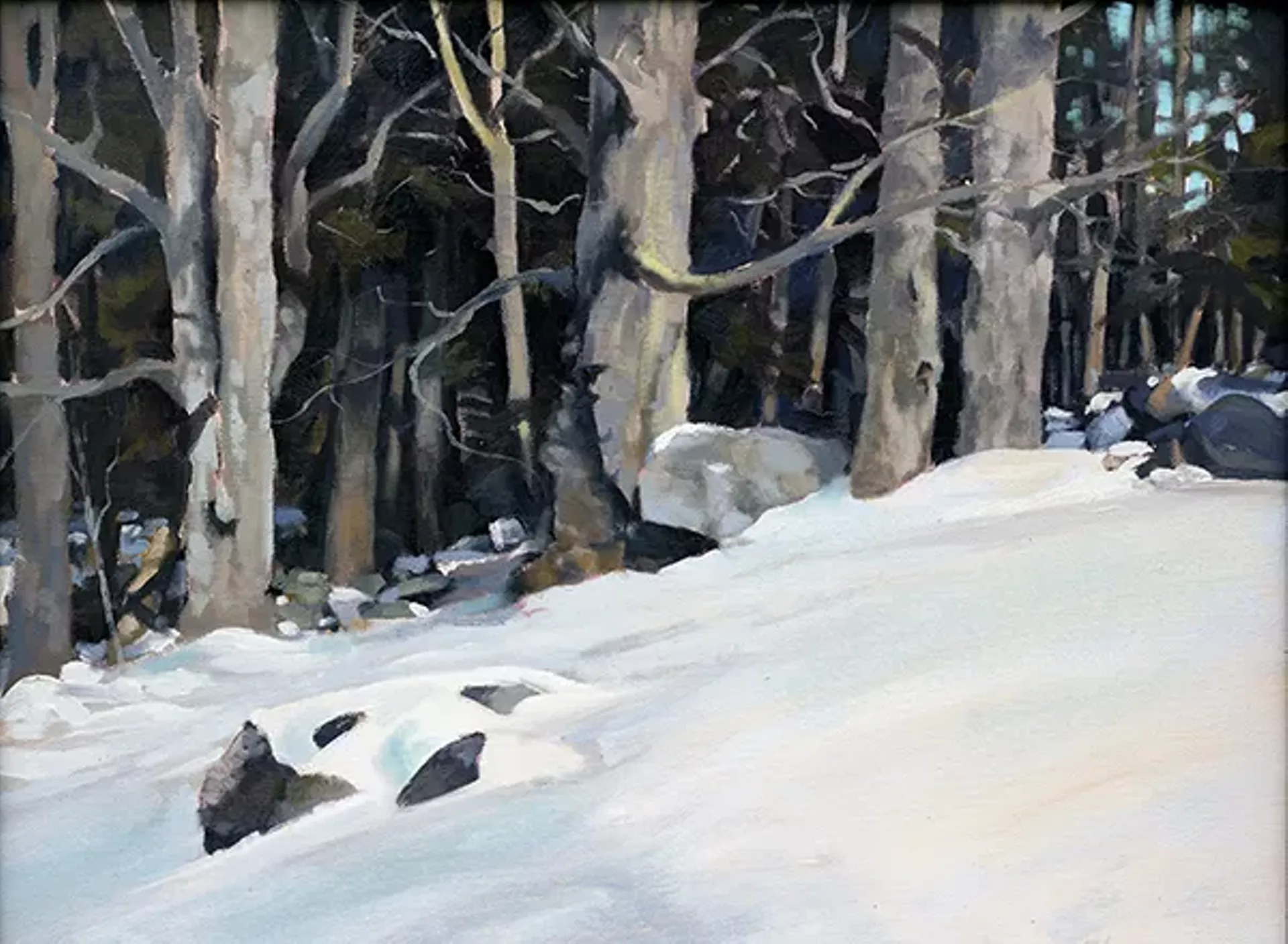 "Morning Maples" by Shane Harris