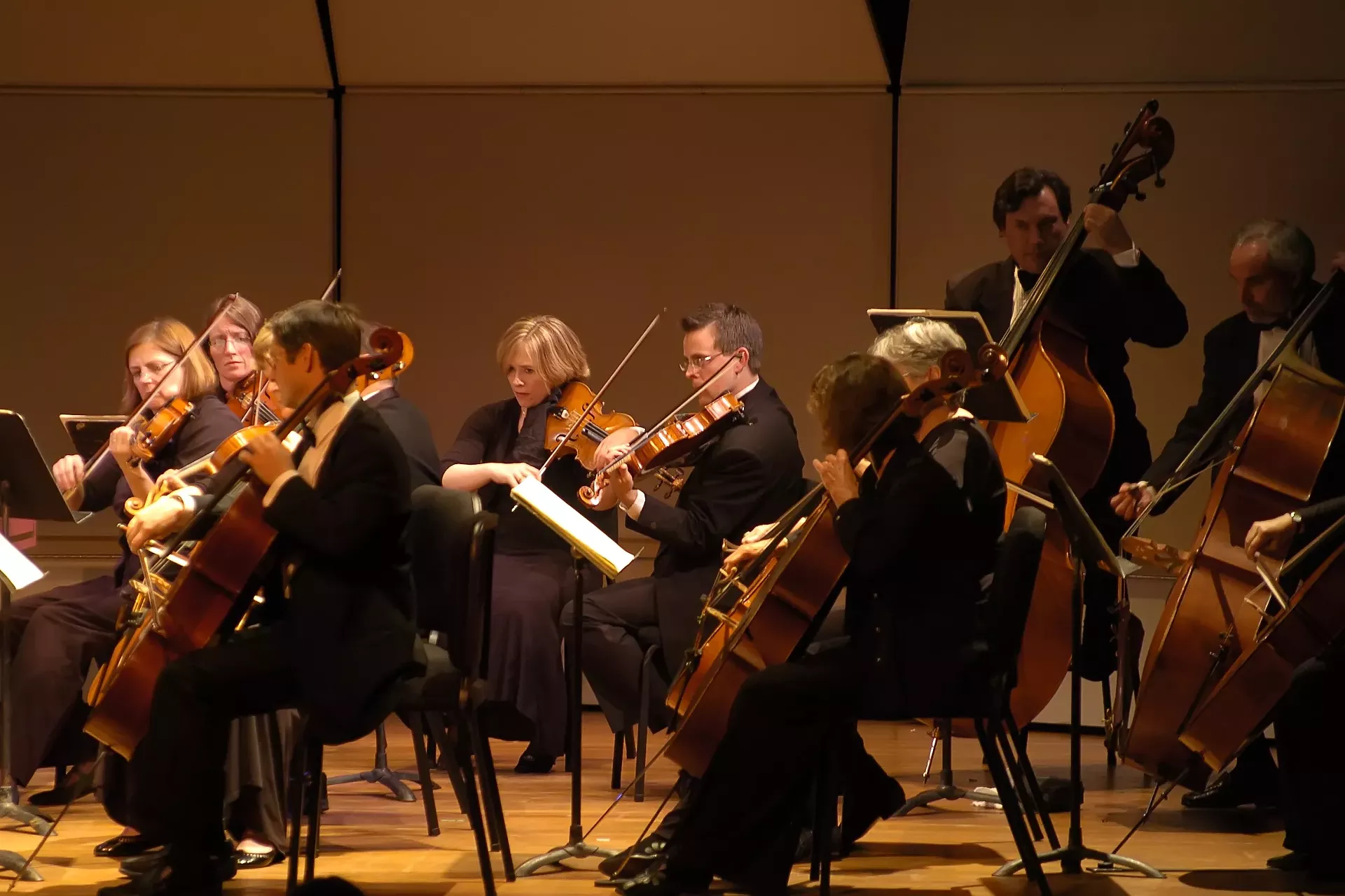 vermont_symphony_orchestra-calendar-spotlight-ravin-2.webp