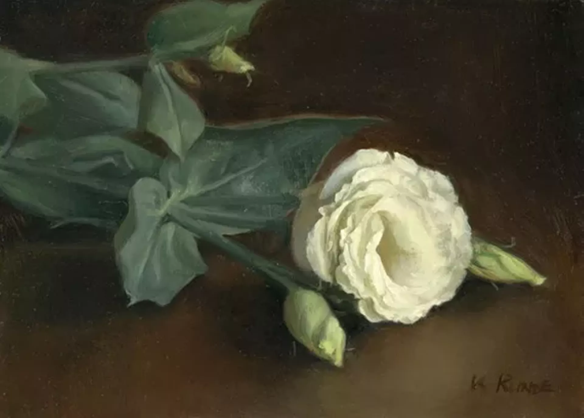 "Lysanthius" by Katie Rund