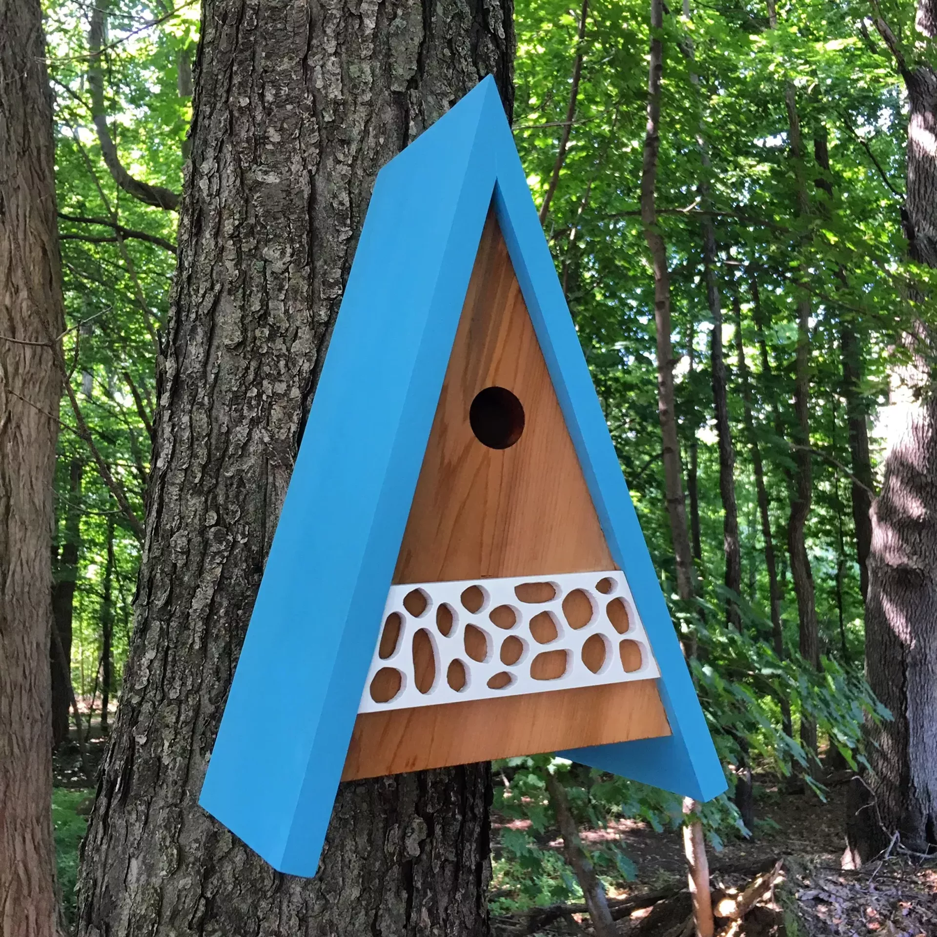 Birdhouse by Steve Hadeka