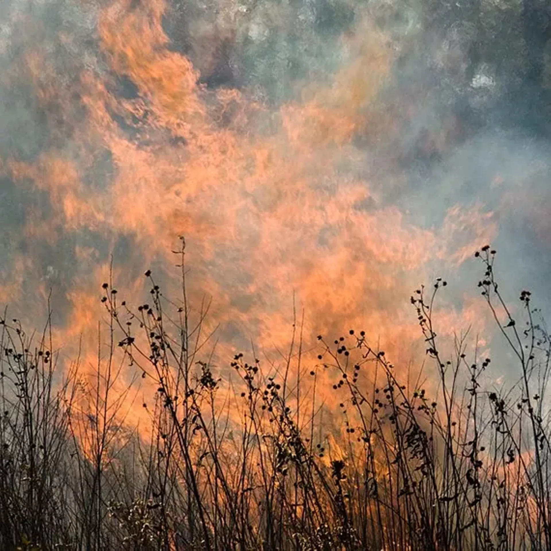 "The Burn" by Jane Fulton Alt