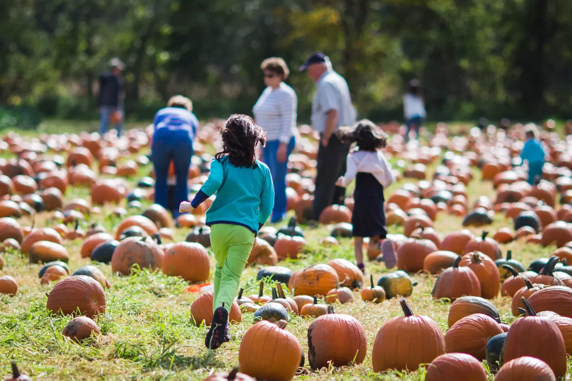 pumpkin_festival_courtesy_of_ben_fleishman-calendar-spotlight-ravin.webp
