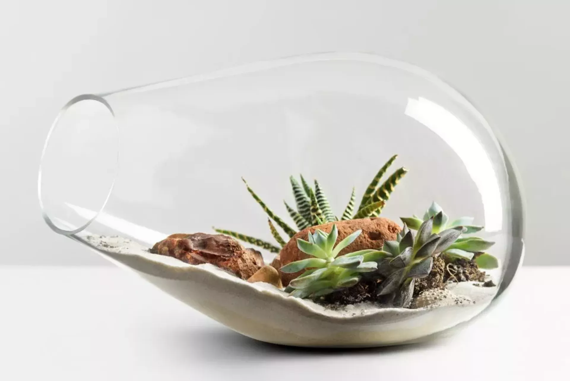 Terrarium by Susan Goldstein