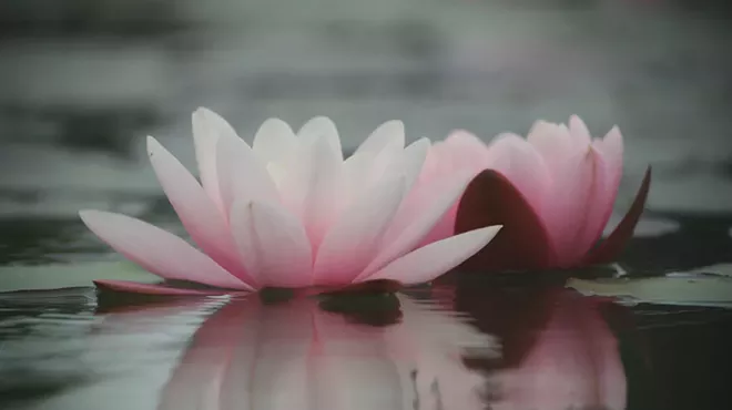 Image: 'Gifts of Mindfulness'
