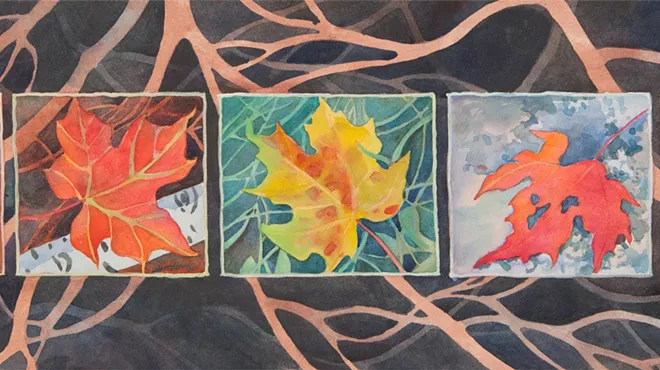 Image: Catherine Hartung