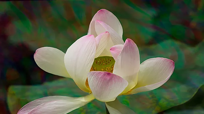 Image: Restorative Yoga With Yoga Nidra