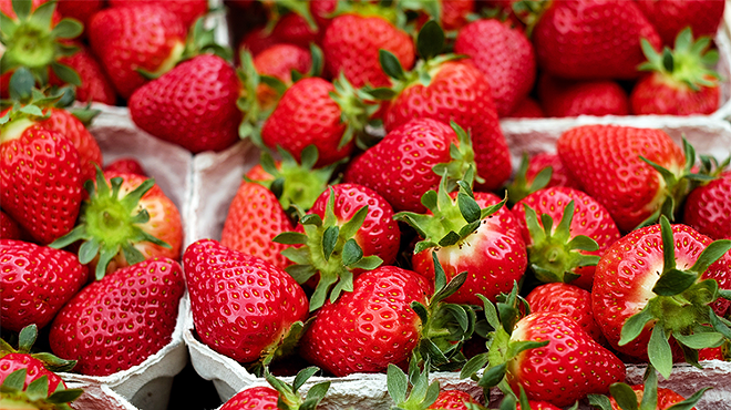 Image: A Berry Adventurous Farm Tour: The Farm Between & Lewis Creek Farm